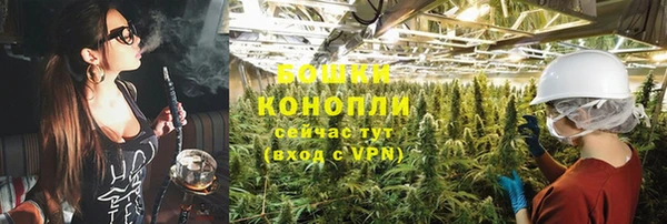 ПСИЛОЦИБИНОВЫЕ ГРИБЫ Лихославль